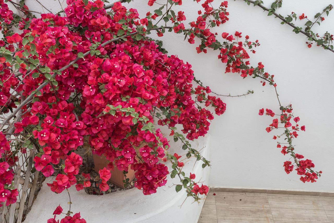 Depis Suites Naxos City Eksteriør billede